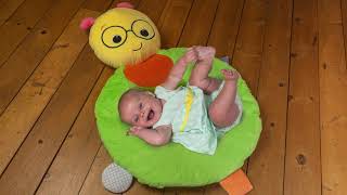 Baby Einstein First Discoveries Cal Baby Mat | Mary Meyer Stuffed Toys