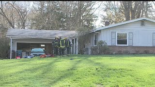 Firefighters rescue, revive dogs trapped in Liberty house fire