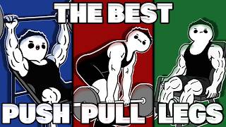 The Best PPL Program for Beginners (Full Workout Plan Included)
