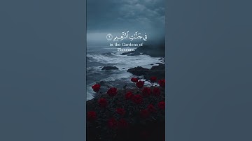 تلاوة من سورة يونس #quran