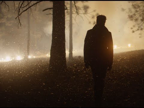 Bonobo : First Fires [Feat. Grey Reverend] - Official Video