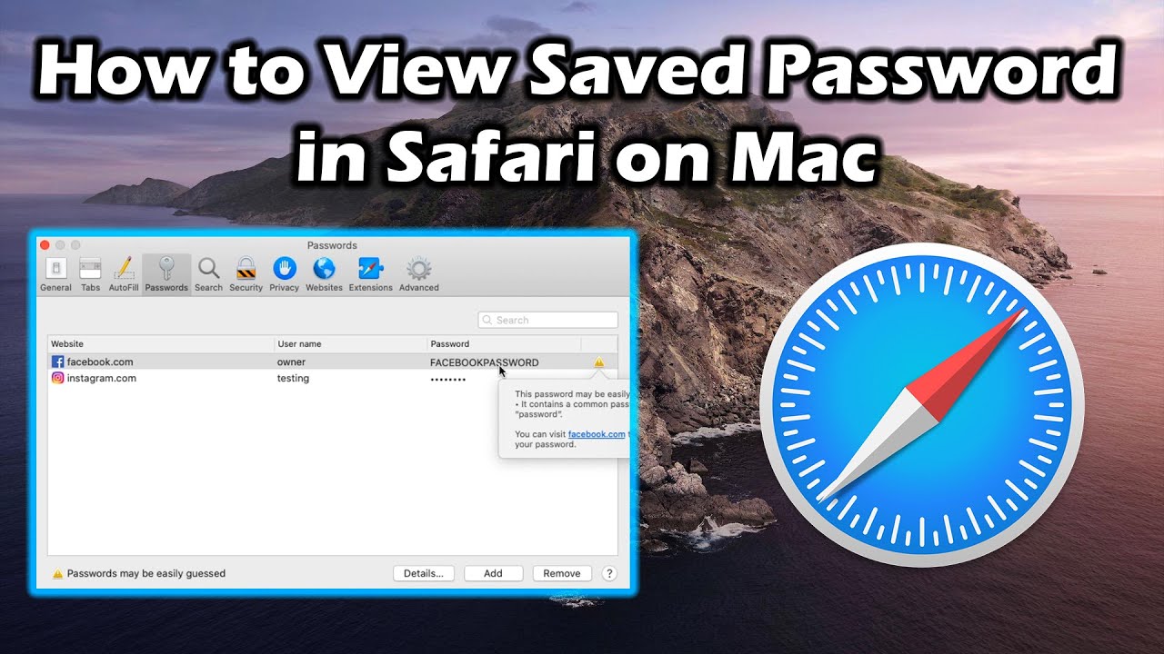 save password on safari mac