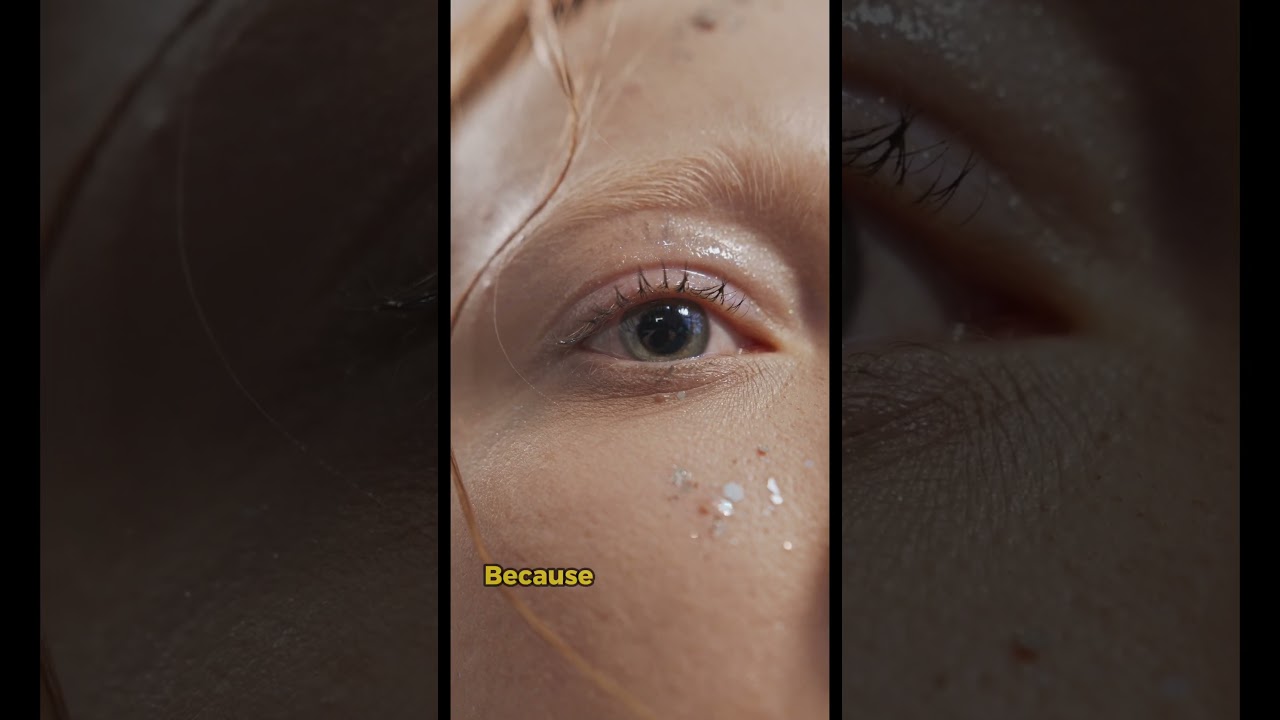 How Do Cats See The World