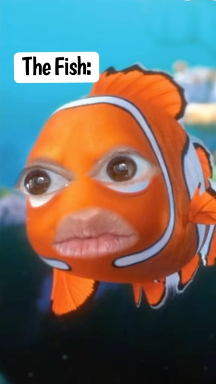 Kids vs the Fish in the Tank #TheManniiShow.com/series