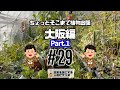 【塊根植物/多肉植物】#29 - ちょっとそこまで植物出張 大阪編Part.1【コーデックス】