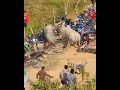 ऐ राजा हमके बनारस घुमाई द 🥰🥰🥰🥰🥰#bhojpuri #hits #trending #viral #shorts