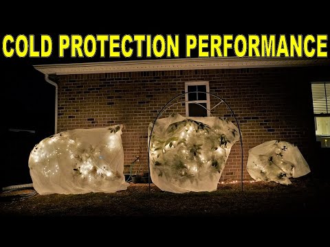 Vidéo: Apple Tree Winter Care - Conseils pour la protection hivernale et l'élagage des pommiers