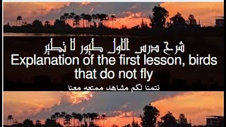 شرح درس الاول طيور لا تطير  Explanation of the first lesson, birds that do not fly