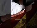 Why COPS Has to Intervene When You Behave Insane - Shocking Arrest