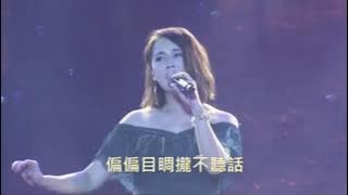 【相約溪畔 鳳凰于飛】2020七夕情人節晚會 陳雷vs楊靜《前世緣》