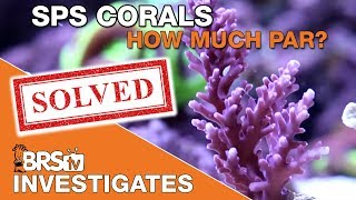 What's the best PAR for SPS corals? | BRStv Investigates screenshot 4