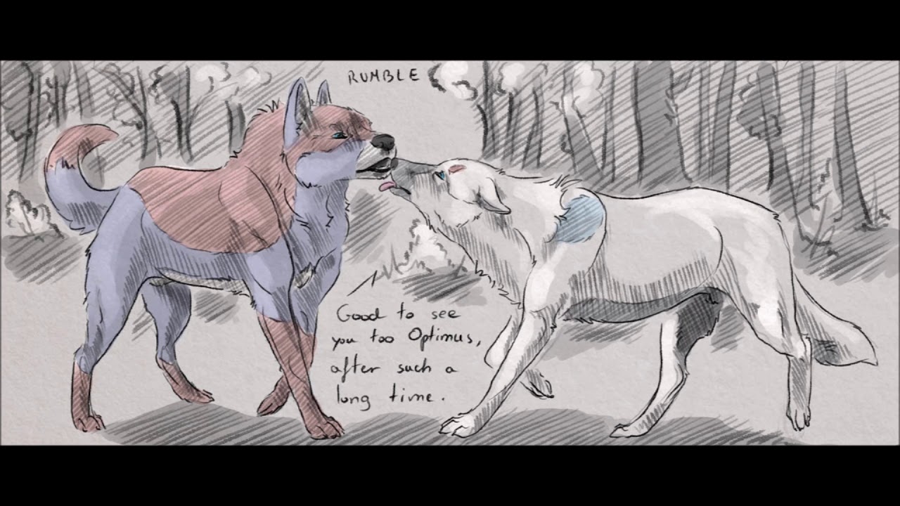 5 Wolves Transformers Transformers Wolves Human Curse Part 5 - YouTube