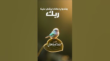 #تلاوة خاشعة #خشووووع #القارئ حمادة جودة هلال