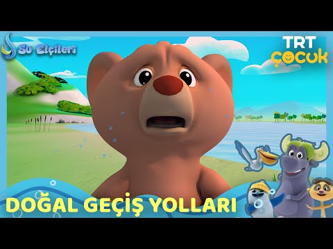 SU ELÇİLERİ | DOĞAL GEÇİŞ YOLLARI | TRT ÇOCUK