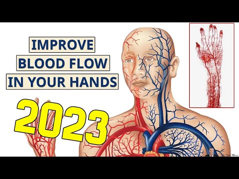 How To Increase Blood Flow To Hands And Fingers - by Dr Sam Robbins