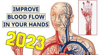 How To Increase Blood Flow To Hands And Fingers In 2023 screenshot 4