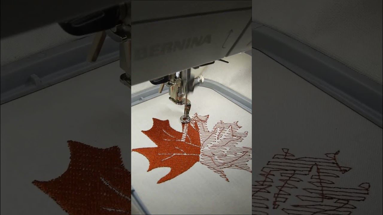 BERNINA B700 Stickmuster