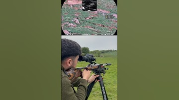 The Silent Assassin: .22LR Rabbit Hunting Using Subsonics