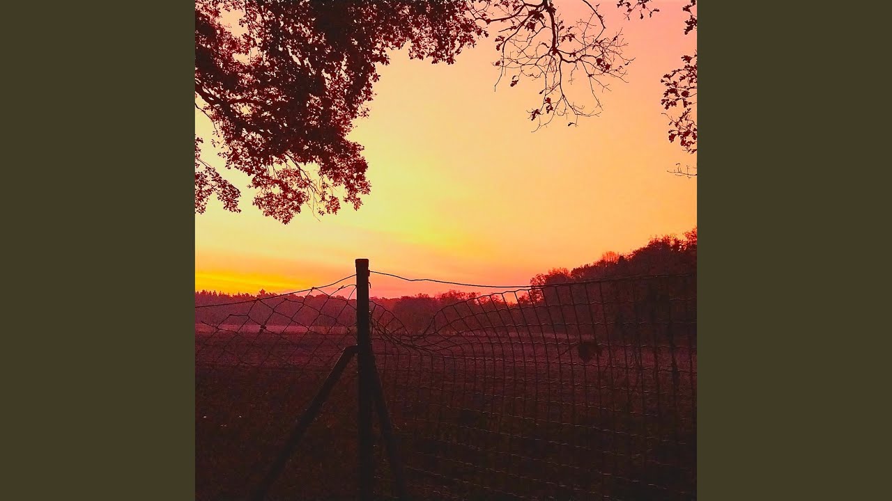 Mira Rejection en YouTube Mira Rejection en YouTube