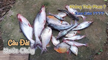 Câu đài | Câu chỗ nước chảy mạnh chìm phao làm sao biết cá ăn để giật - Nhật Ký Cần Thủ