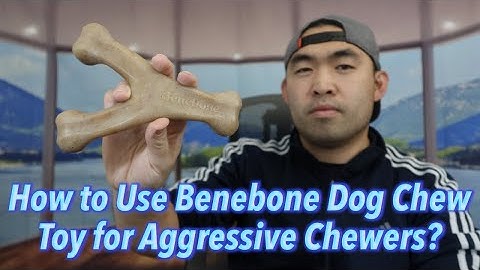 How to Use Benebone Dog Chew Toy for Aggressive Chewers?
