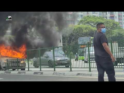 Car caught on fire at woodlands ave 3