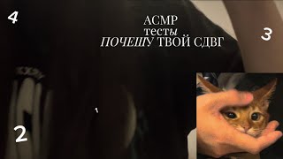 :    || Lo-fi asmr ||    