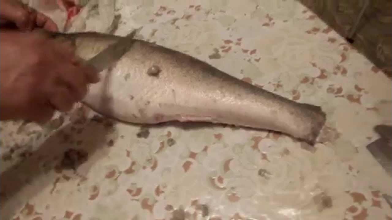 Как правильно разделать судака. Как правильно разделать судака. Как чистить судака. Как выпотрошить судака. Как чистить щуку от чешуи.