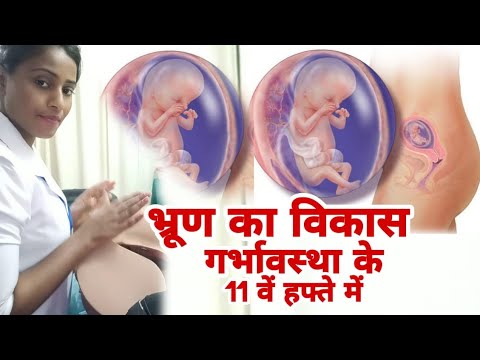वीडियो: 11 सप्ताह के गर्भ में भ्रूण का आकार