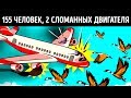 Чудо, которое спасло 155 человек, когда птицы разрушили двигатели самолета