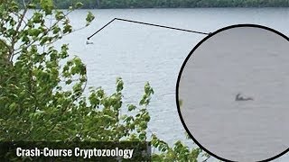 The New Evidence For The Loch Ness Monsters