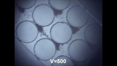 A new approach for direct-current insulator-based dielectrophoretic trapping - Mahdi Mohammadi