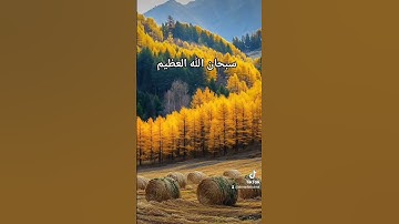 قران كريم تلاوة خاشعه #duet #المشيشي #القزابري #دويتو #المصحف #اكسبلور #الرحمن #beautiful