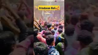 Vrindavan Holi