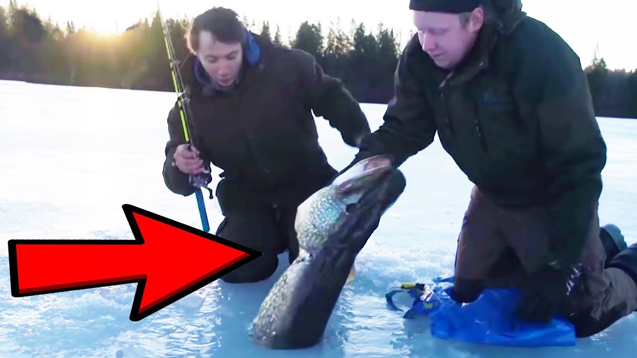 Ice fisherman can all relate to this #fishing #fishingvideos #fyp #fi