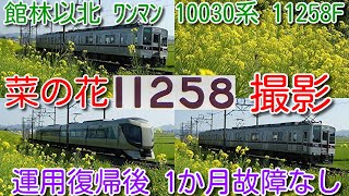 【菜の花とコラボ 東武佐野線ワンマン10030系 11258F 運用復帰後 1か月故障なし 元気に活躍中！】葛生発 500系 リバティりょうもう 3両、ワンマン10030系 11263F