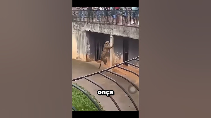 3 animais mais PERIGOSOS da Mata Atlântica 😱🐍