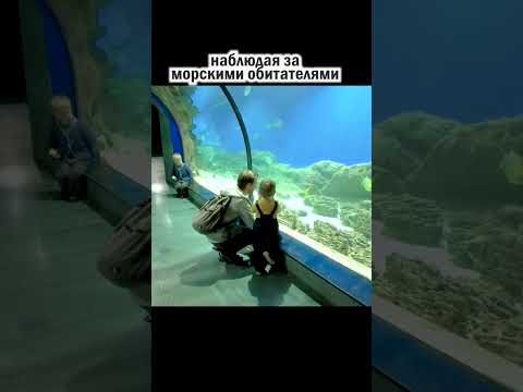Впечатляет, правда?