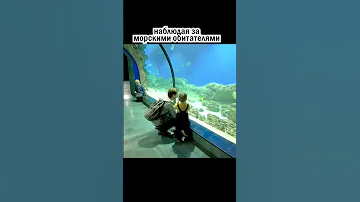 Впечатляет, правда?