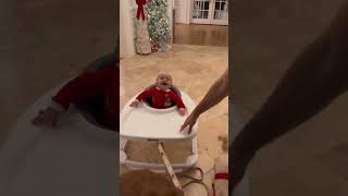 Dog Wearing Christmas Antlers Pulls Baby Walker Around House