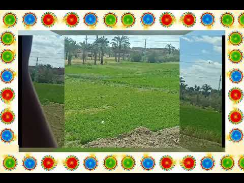 جمال الريف في بلادي