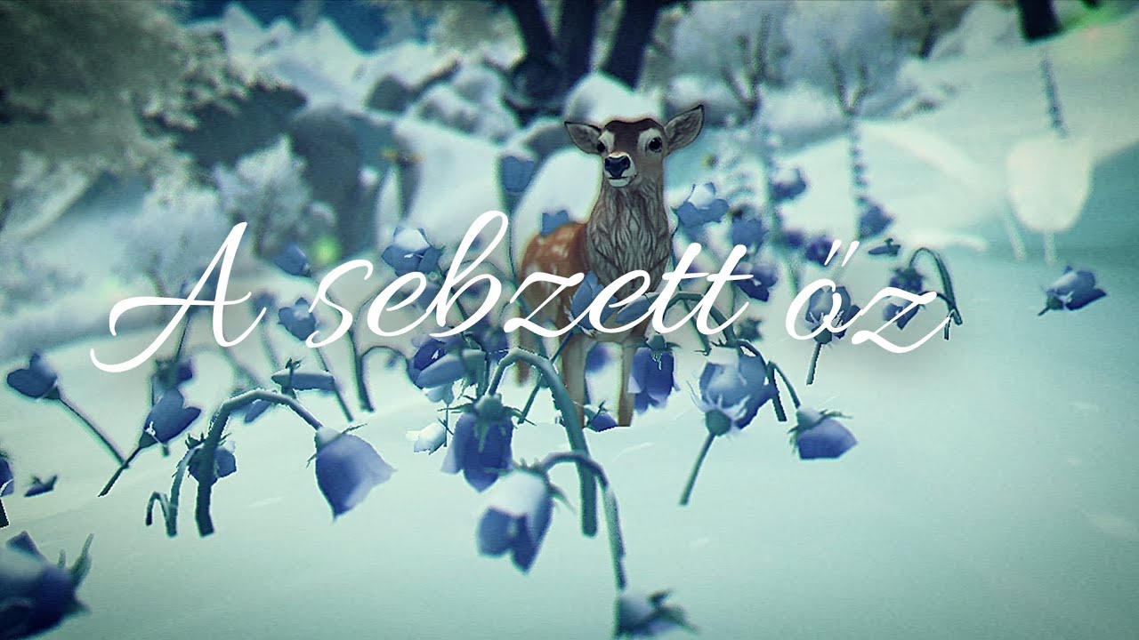 A sebzett őz ( sso kisfilm)