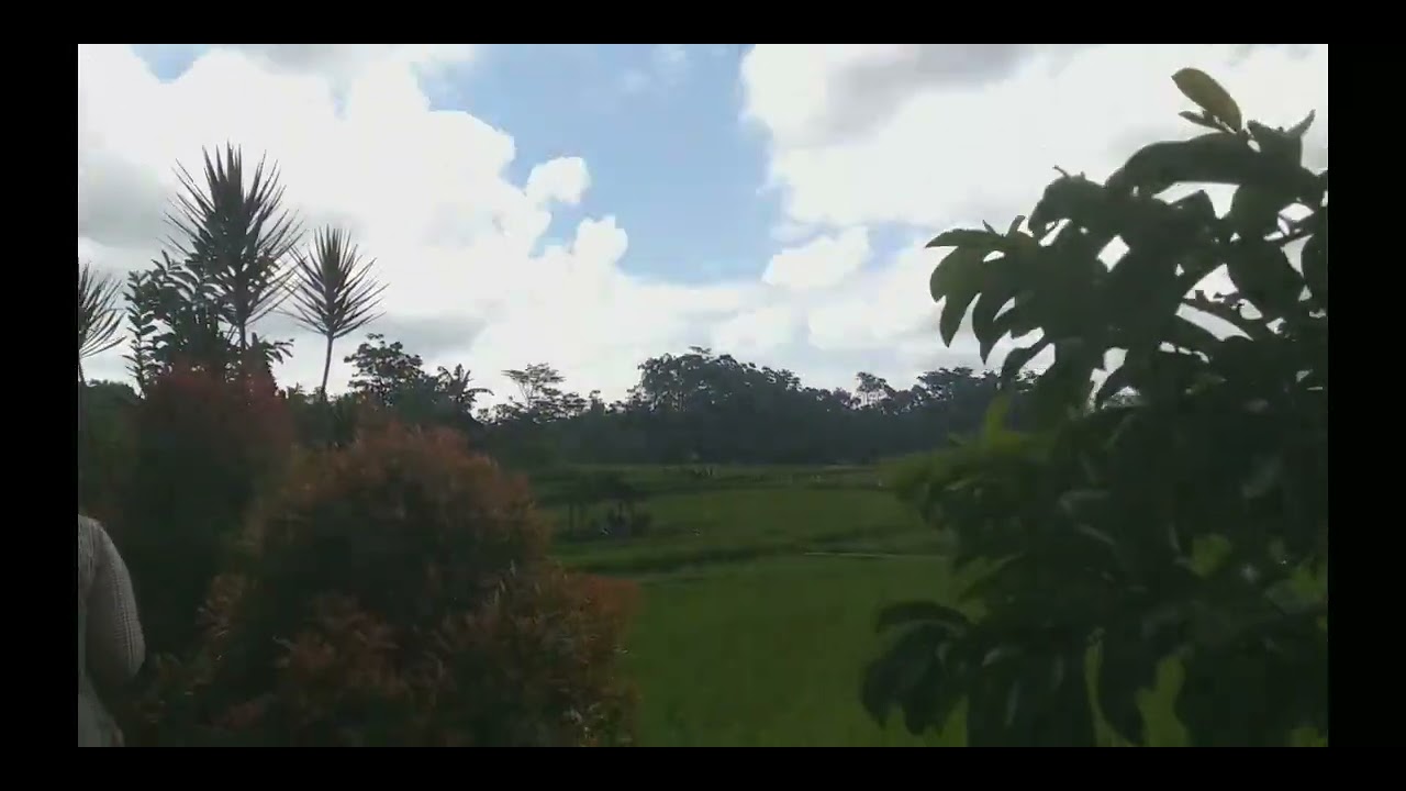 ipluk jalan2 ke trawas