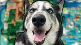 Channel Update!
