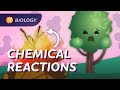 Energy Dynamics in Cellular Processes