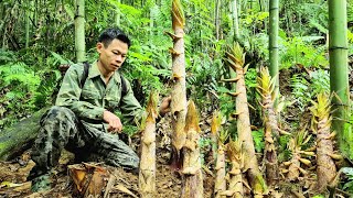 245 Days: Picking Bamboo Shoots, Making Bamboo Beds, Helping Strangers