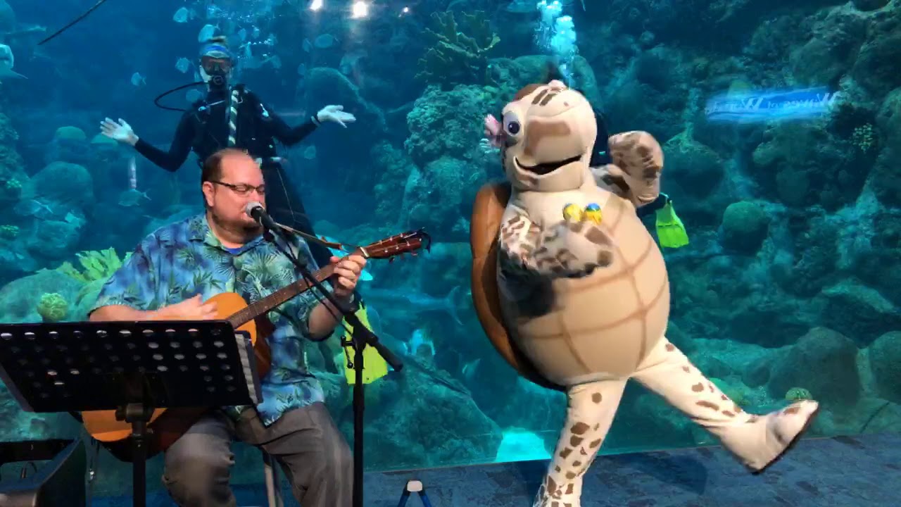 SEA-SPAN Episode 2 - Aqua Tunes with Thom