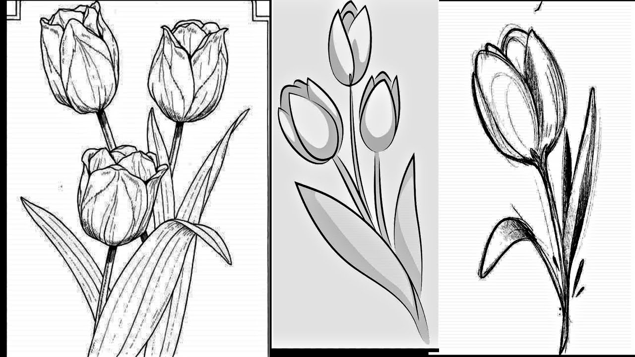 DIBUJOS O IMAGENES DE TULIPANES PARA BORDADO O PINTURA - YouTube dibujos-o-imagenes-de-tulipanes-para-bordado-o-pintura-youtube