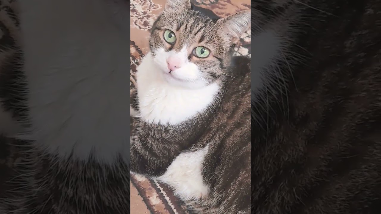 10 octobre 2025 Могу передумать