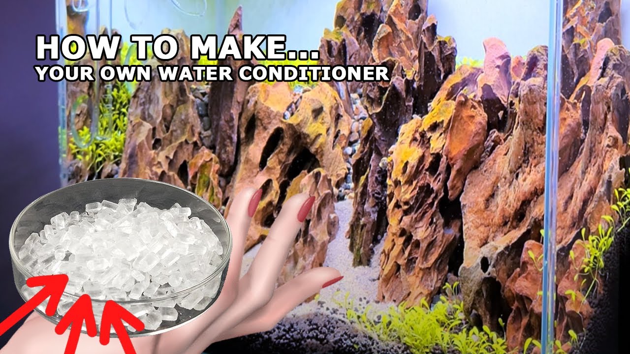 HOW TO Save Money & Make Your Own Aquarium Water Conditioner (De-chlorinate)